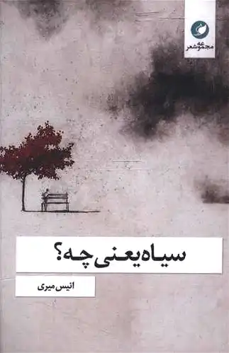 سیاه یعنی چه؟