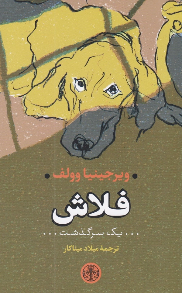 فلاش