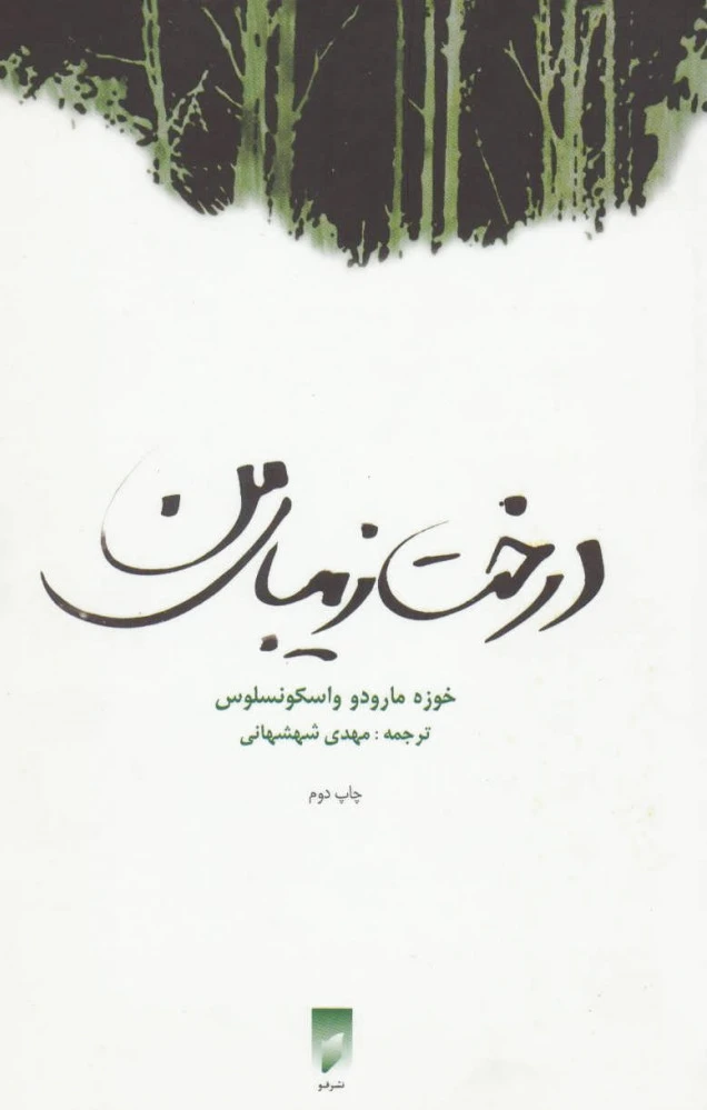 درخت زیبای من