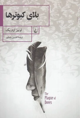 بلای کبوترها