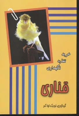 قناری