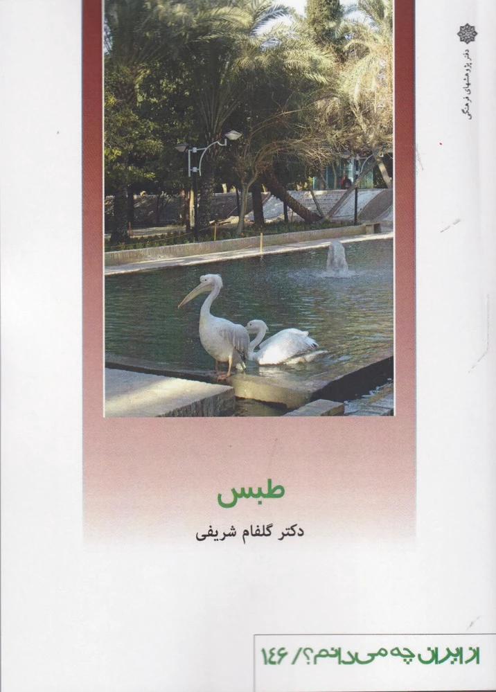 طبس