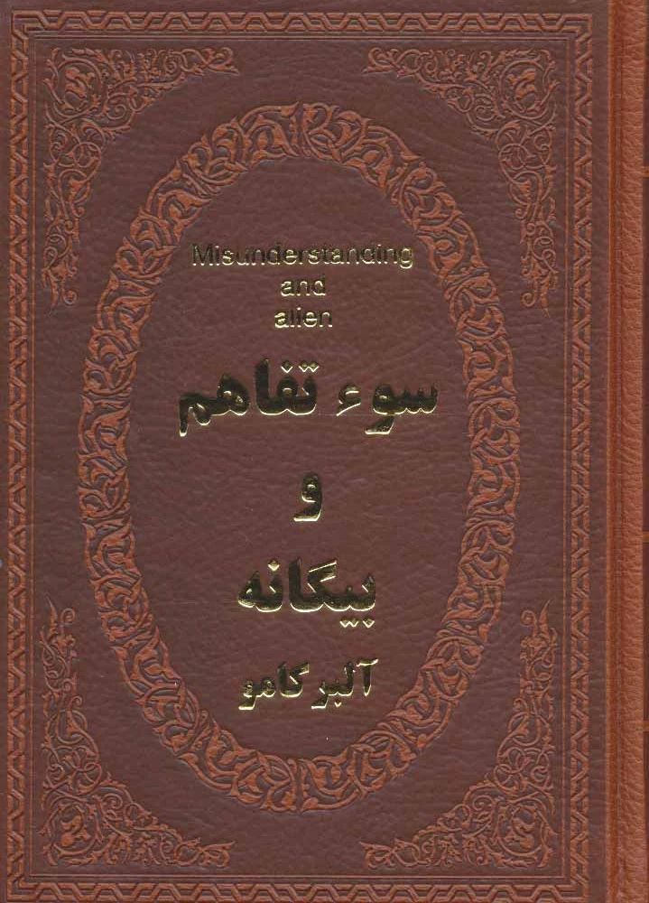سوء تفاهم و بیگانه