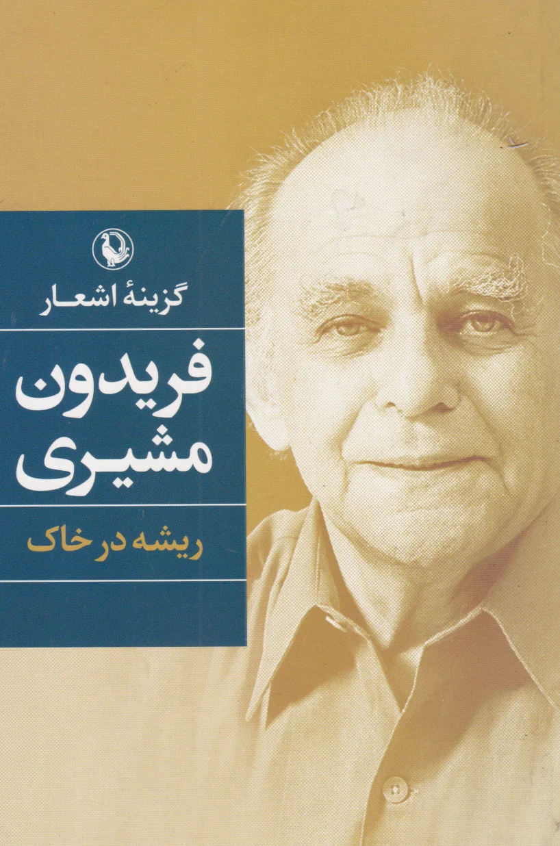 ریشه درخاک