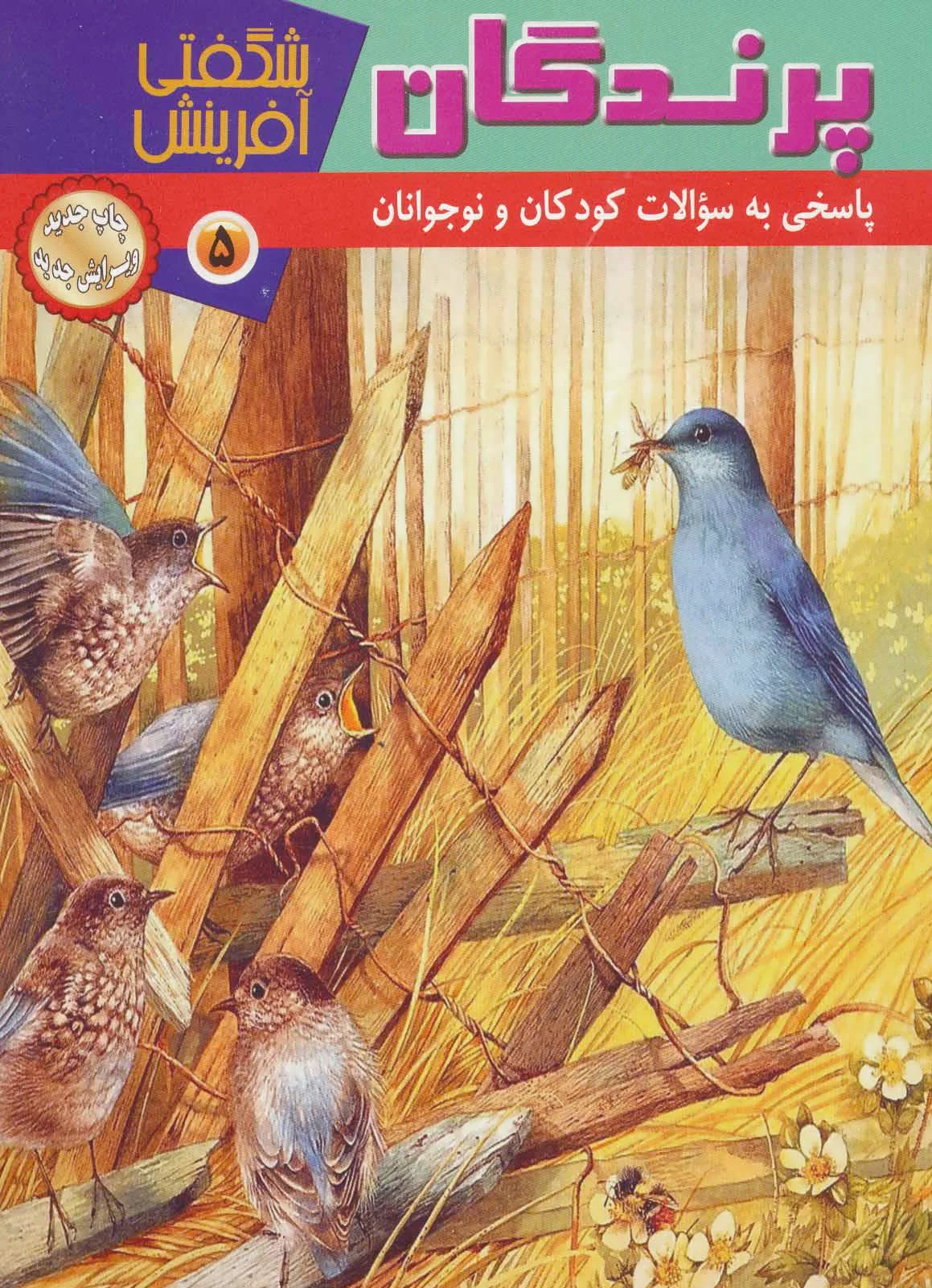 پرندگان