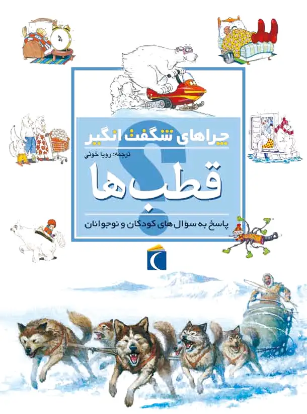قطب ها
