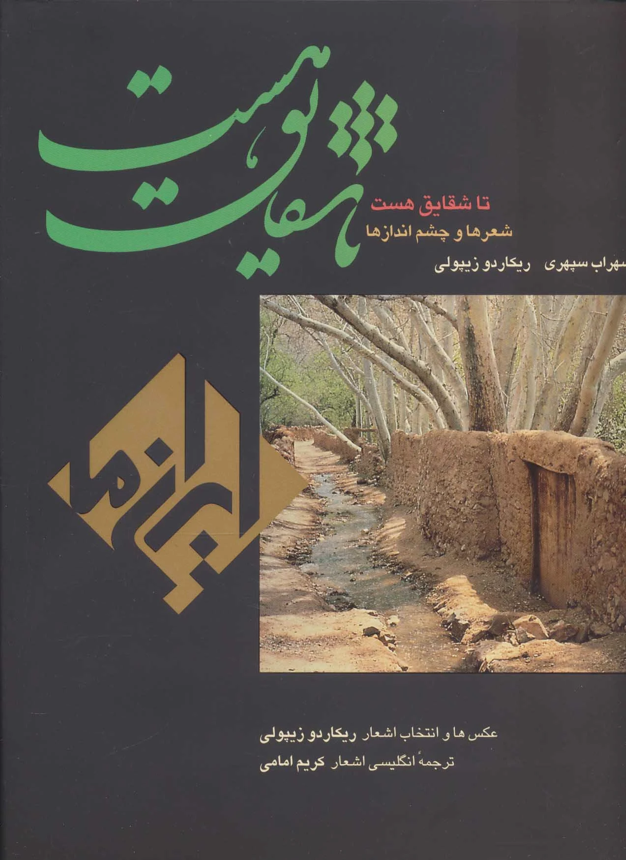 تا شقایق هست
