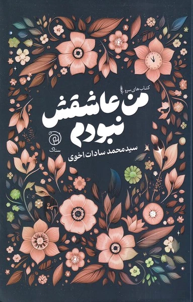 من عاشقش نبودم