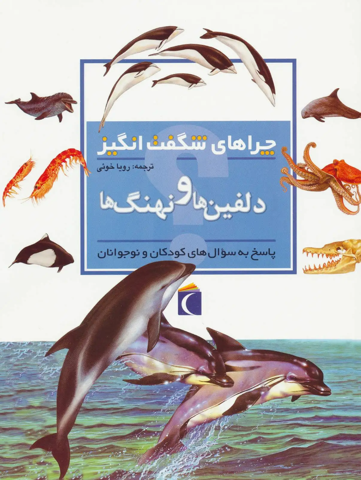 دلفین ها و نهنگ ها