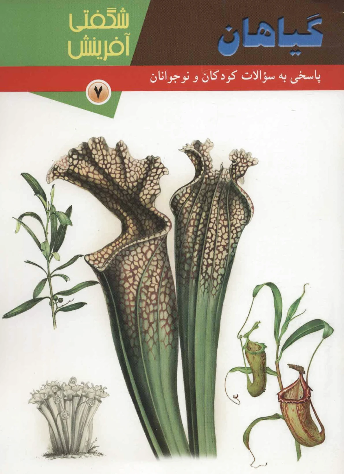 گیاهان