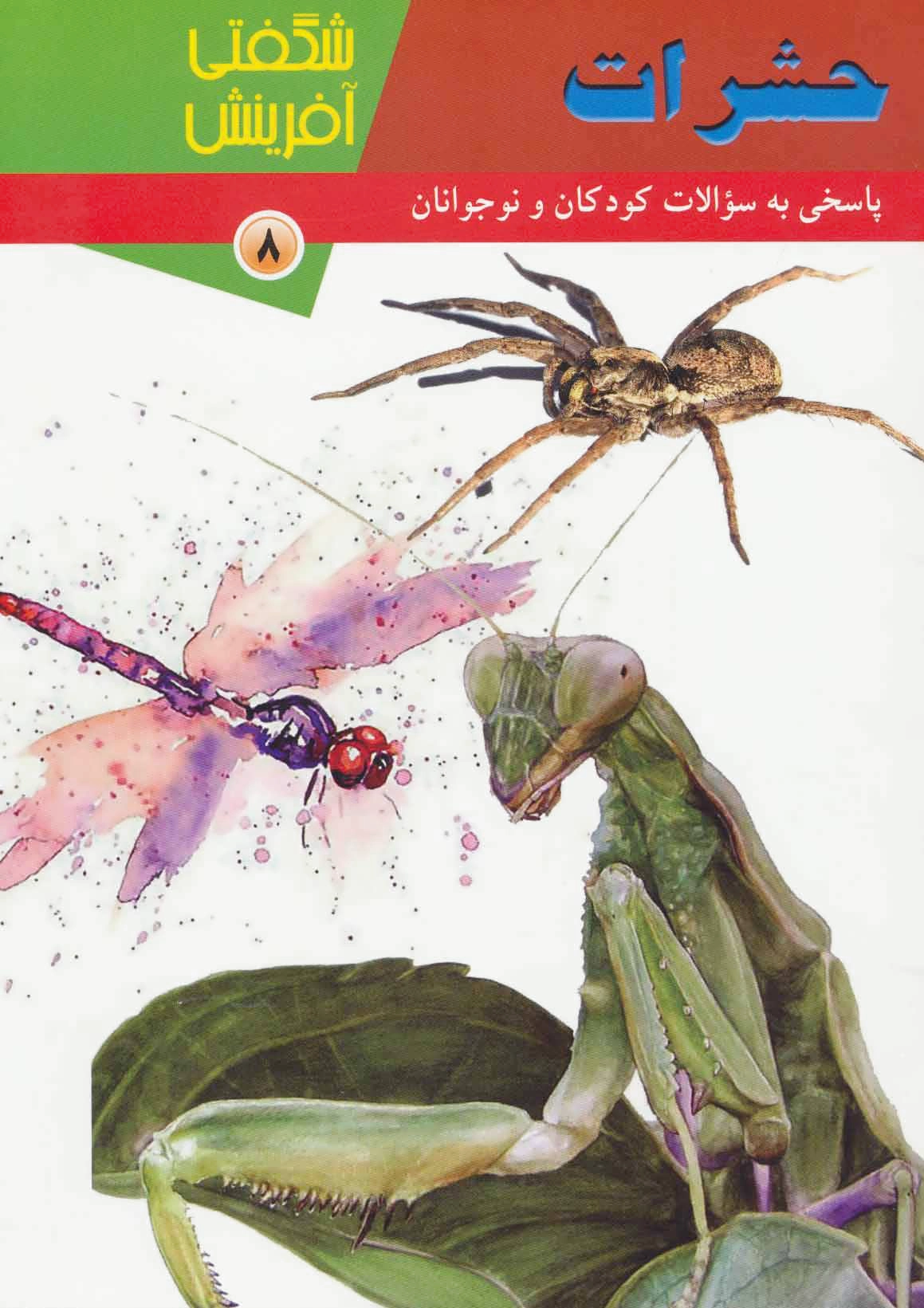 حشرات