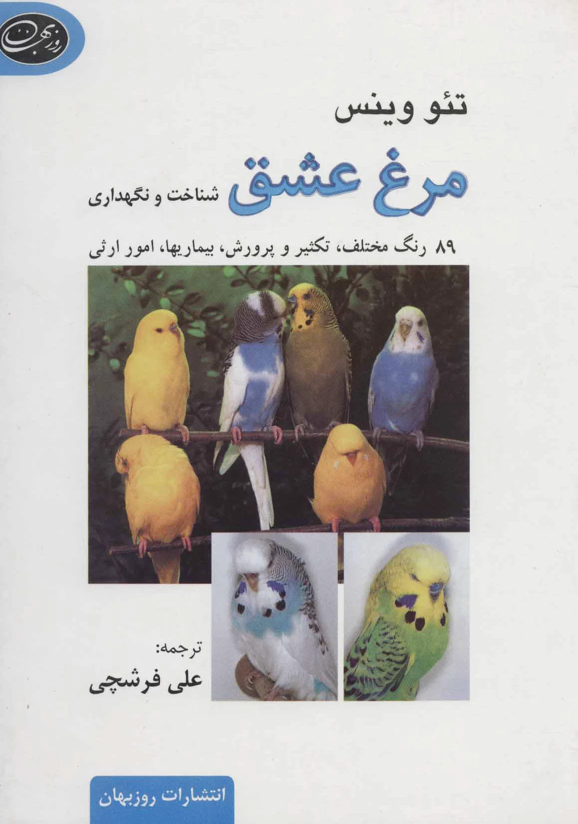 مرغ عشق