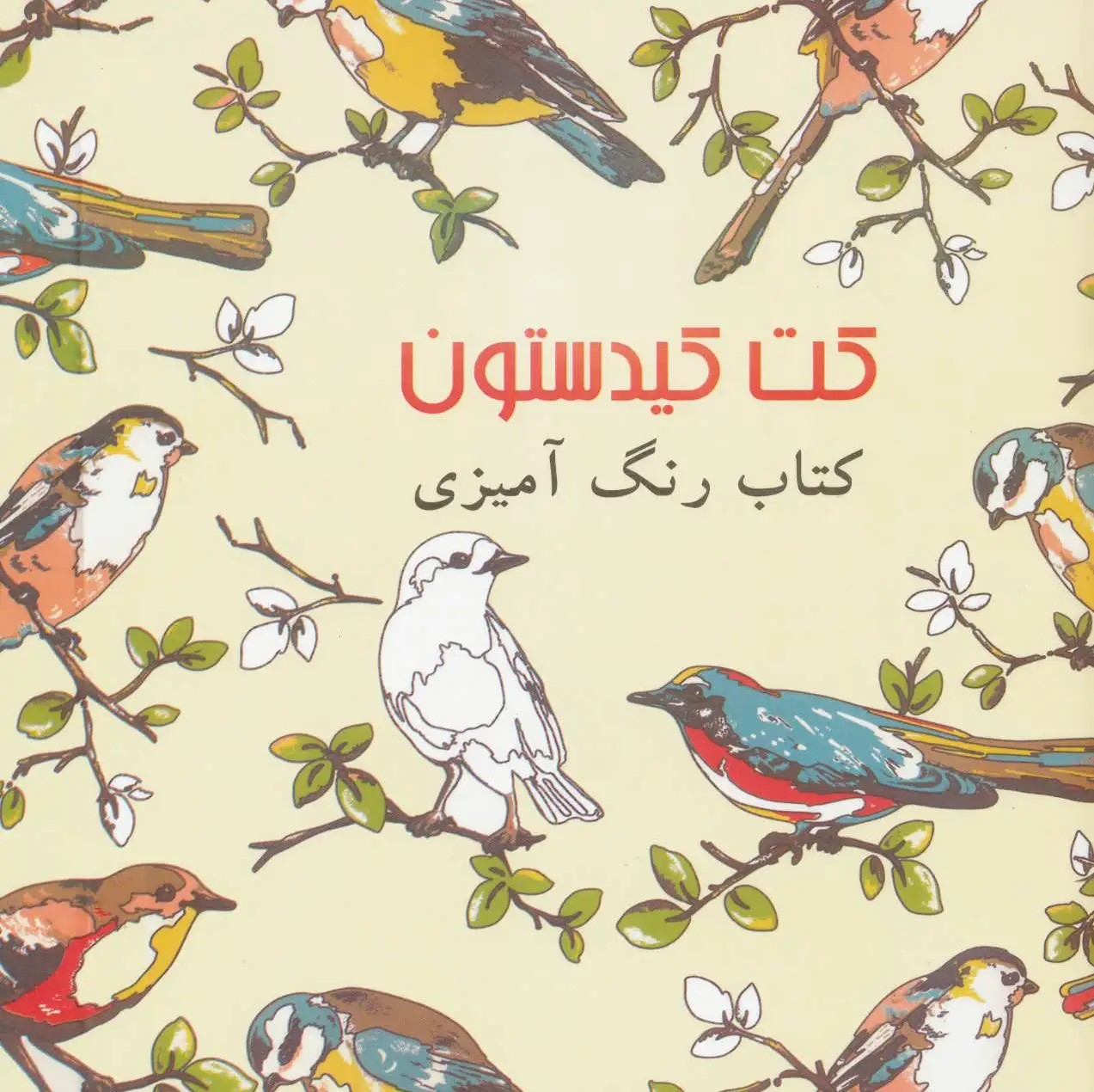 کت کیدستون
