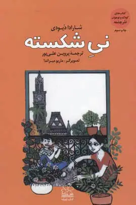 نی شکسته