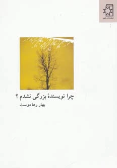 چرا نویسنده بزرگی نشدم؟