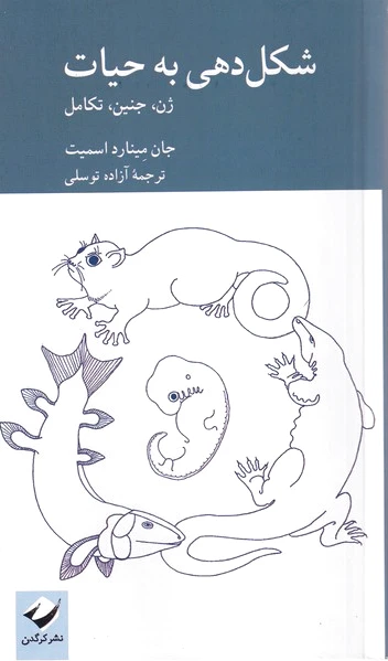شکل‌دهی به حیات
