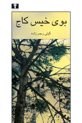 بوی خیس کاج