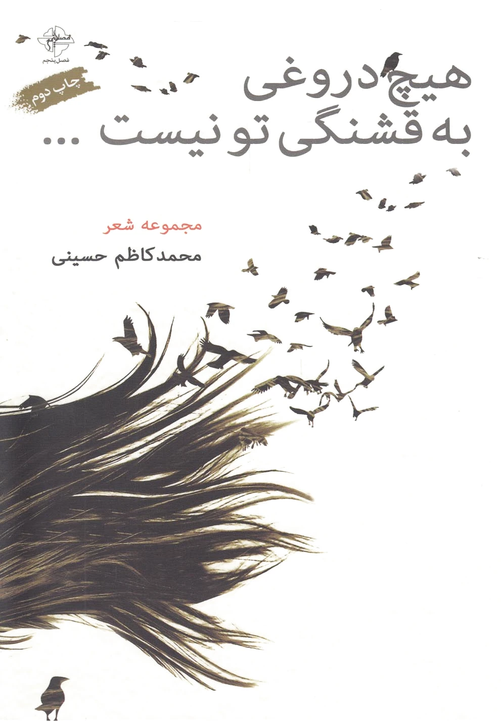 هیچ دروغی به قشنگی تو نیست