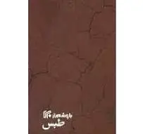 طبس
