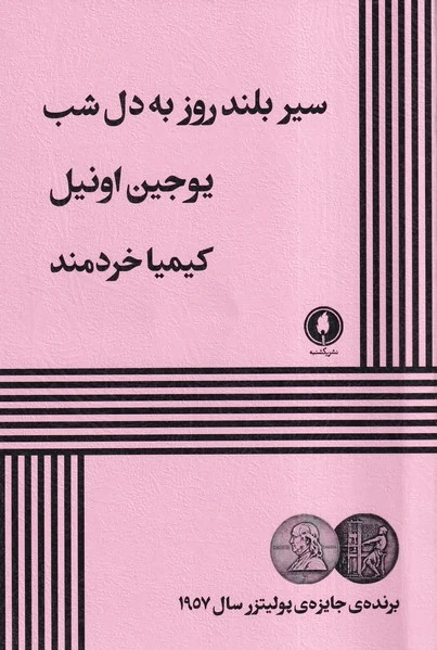 سیر بلند روز به دل شب