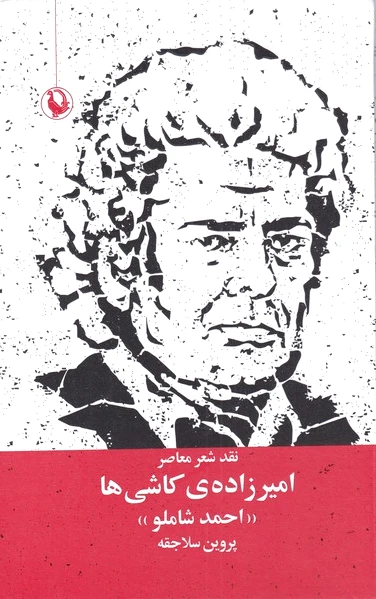 امیرزاده ی کاشی ها