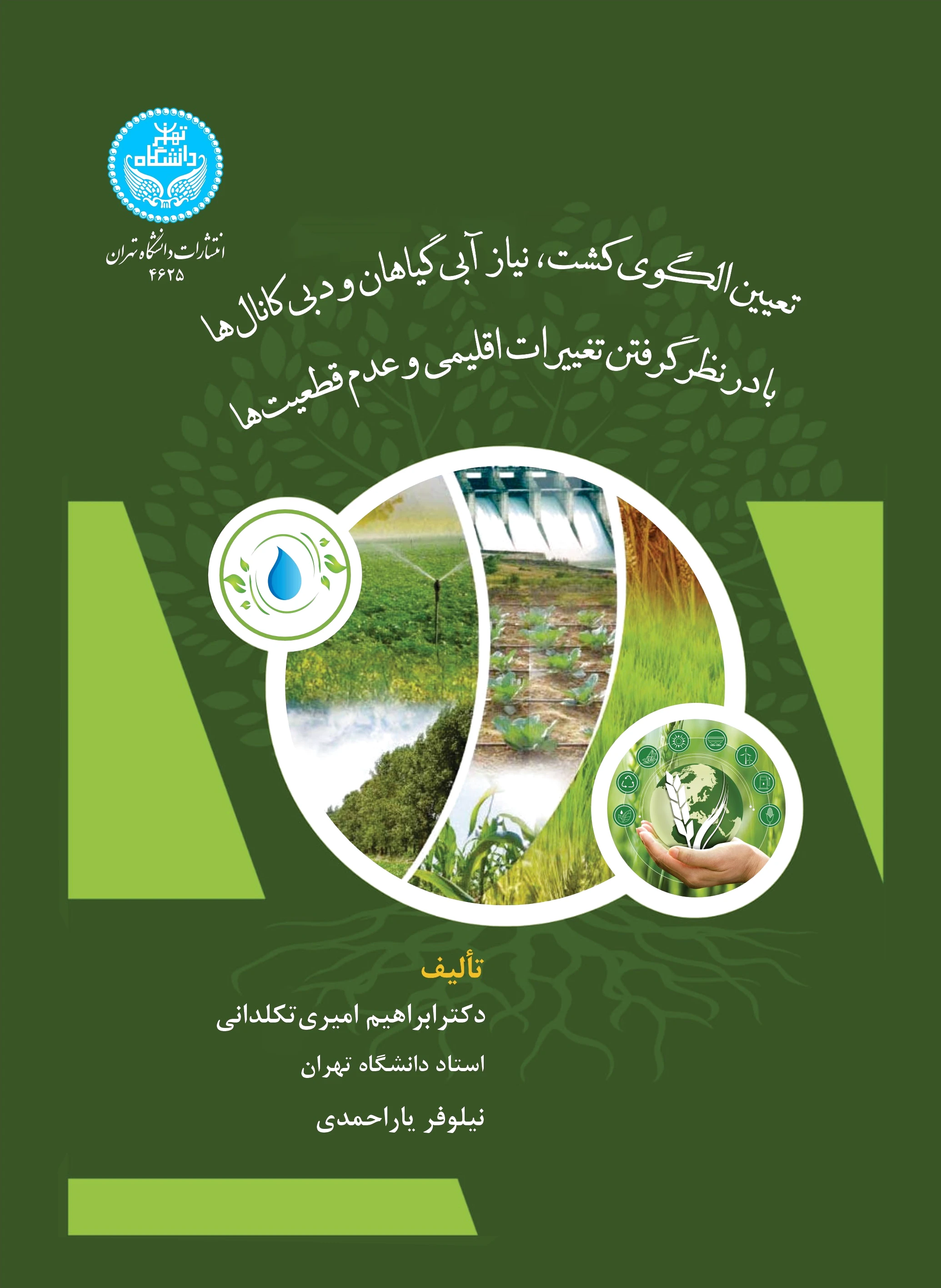 تعیین الگوی کشت
