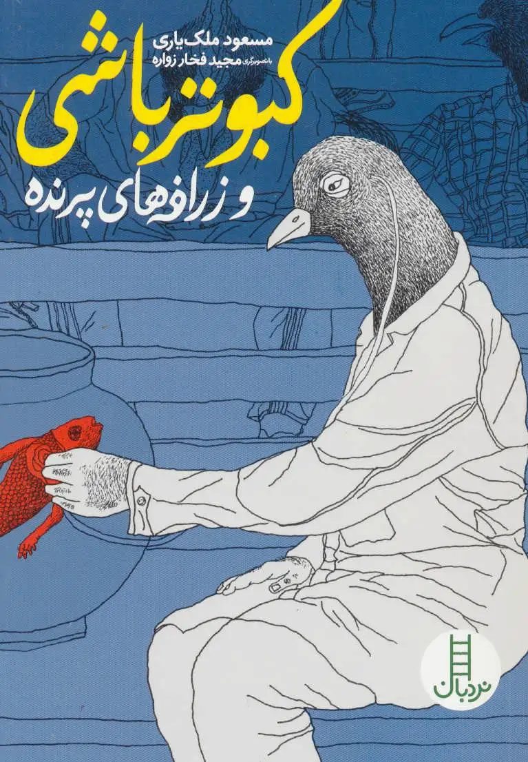 کبوتر باشی