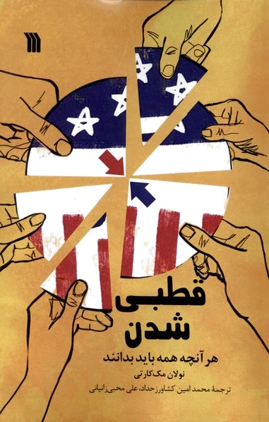 قطبی شدن
